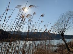 -东钱湖旅游度假区