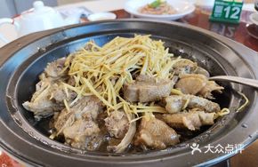 Ginger Oil Mountain Stream Duck