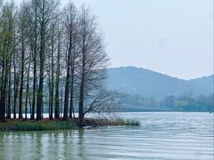 -蠡湖大桥公园