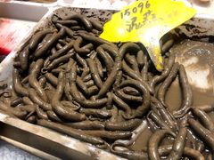 -驻海渔市(置信店)