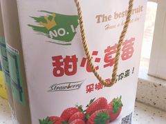 -甜心庄园·甜心草莓采摘园(西青中北店)