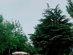 -渡海小渔村.老辈日照菜