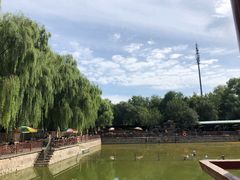 景观位-尚庄度假村·庭台树下·户外烧烤·团建CS·轰趴营地(上庄水库店)