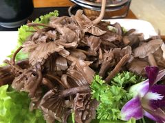 -阿鹏故事野生菌火锅(双廊古镇店)
