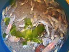 -北戴河东海水浴场