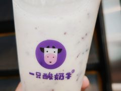 -一只酸奶牛(来福士店)