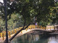 -晓港公园