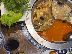 -快乐小羊(富强中路店)