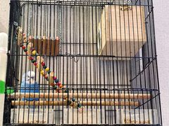 -Rabbit Cafe私房西餐甜点咖啡(栖霞路店)