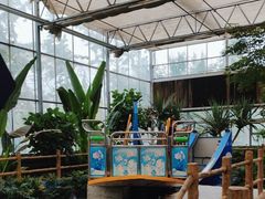 -南宫五洲植物乐园