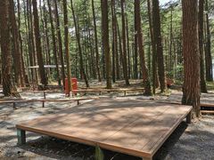-重庆睡佛山森林公园