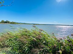 -野鸭湖国家湿地公园