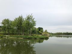 -东郊湿地公园