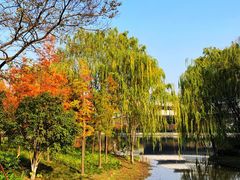 -杭州城北体育公园