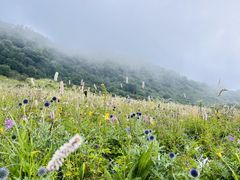 -白草畔自然风景区