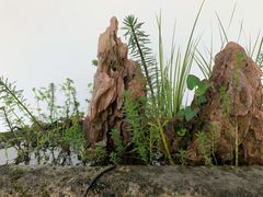 -罗浮山·罗园农庄