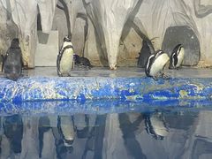 -太平洋海底世界