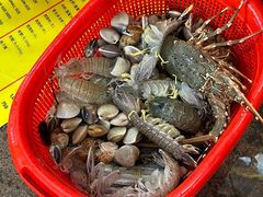 -班赞海鲜市场