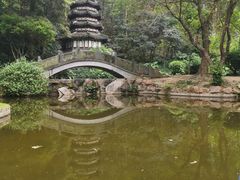 -深圳国际园林花卉博览园