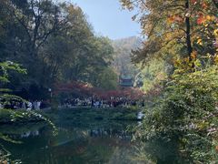 -岳麓山风景名胜区