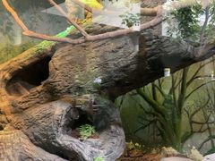 -成都动物园