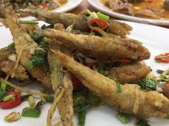 -长平老姿娘夜粥(平东一街店)