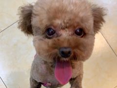 -沐沐家宠物(成寿寺店)