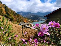 -硗碛藏寨·神木垒景区