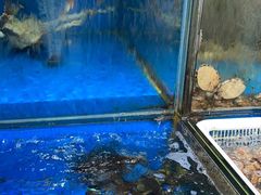-流舫海鲜酒家(张溪店)