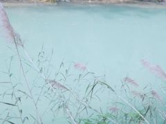 -贵阳市花溪国家城市湿地公园