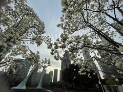 -陆家嘴中心绿地