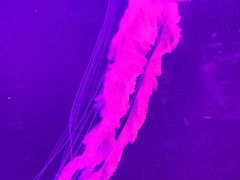 -北海·海洋之窗