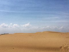 -恩格贝生态旅游区