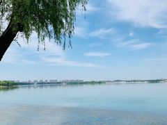 -丁香湖公园