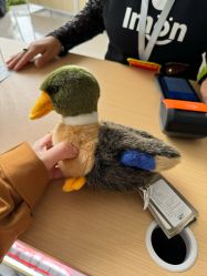 -IMON·HANSA潮玩玩偶毛绒玩具(通州万象汇店)