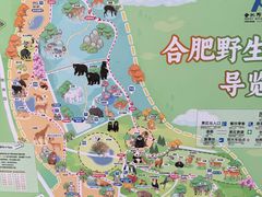 -合肥野生动物园