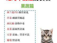 -爱洗澡的猫(天河路店)