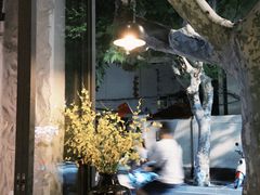 -Apollo·西班牙小酒馆(安福路店)