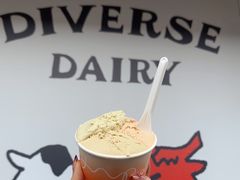 -Dip in Gelato(富民路店)