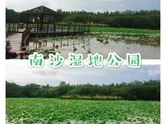 -大湾区中央湿地公园