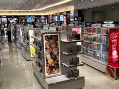 -升恒昌免税商店(台北松山机场店)