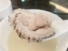 -齐海鱼圣深海石斑鱼火锅店(极地海洋世界店)
