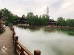 -金城公园