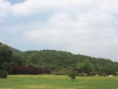 iphone_upload_pic-横山寺