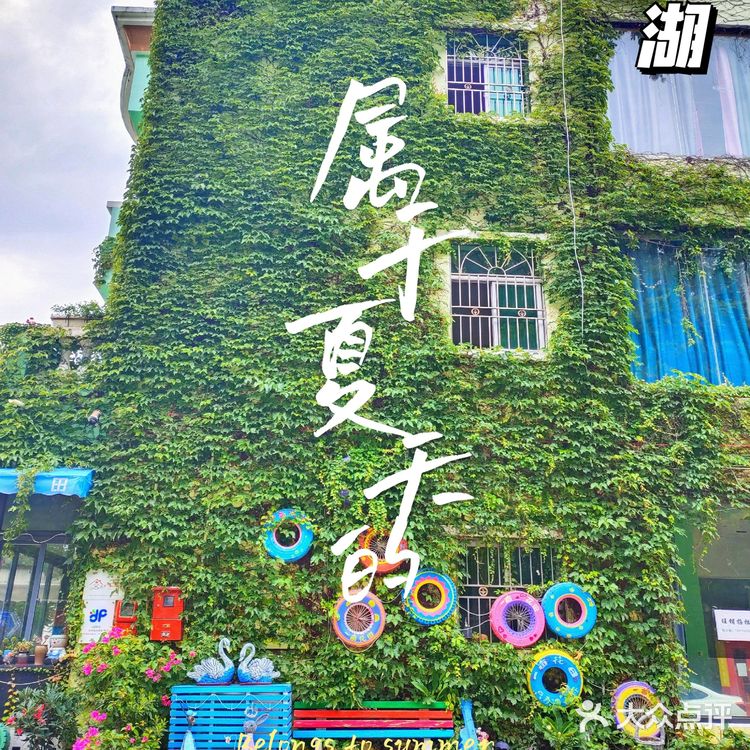 土豆姐姐/曾经的深圳小镰仓去哪里了