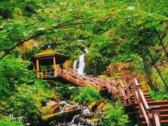 -凤凰山国家森林公园