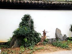 -浮庄