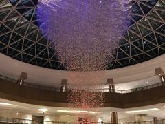 -圆顶阁西餐厅(郑州索菲特国际饭店 )