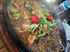 -老板恋上鱼(恒隆广场店)