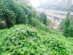 -新都巷步道